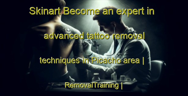 Skinart Become an expert in advanced tattoo removal techniques in Picacho area | RemovalTraining | RemovalClasses | SkinartTraining-United States